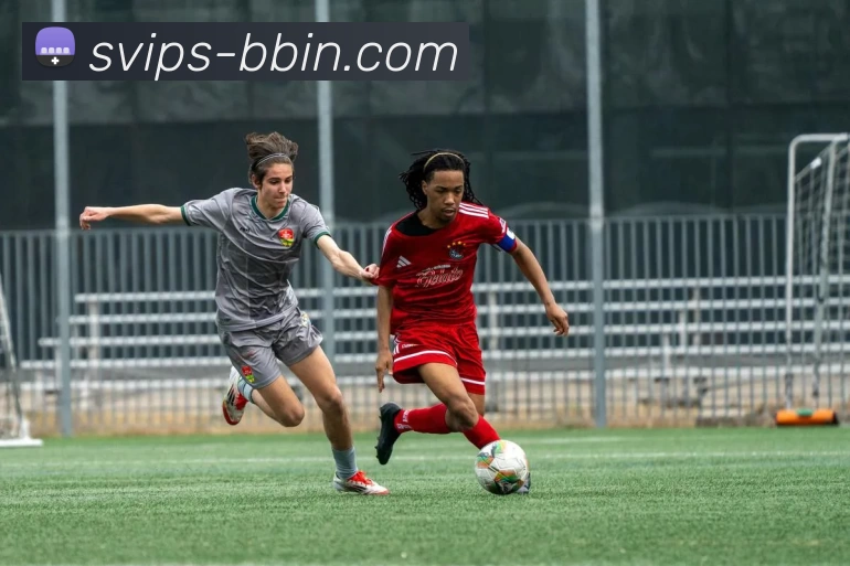 BBIN体育投注APP 封面图